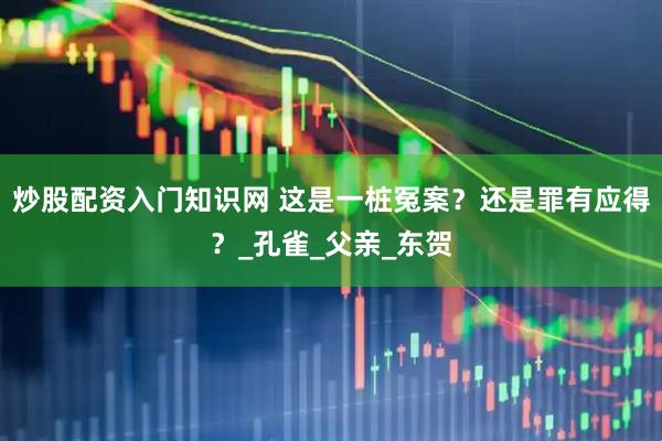 炒股配资入门知识网 这是一桩冤案？还是罪有应得？_孔雀_父亲_东贺